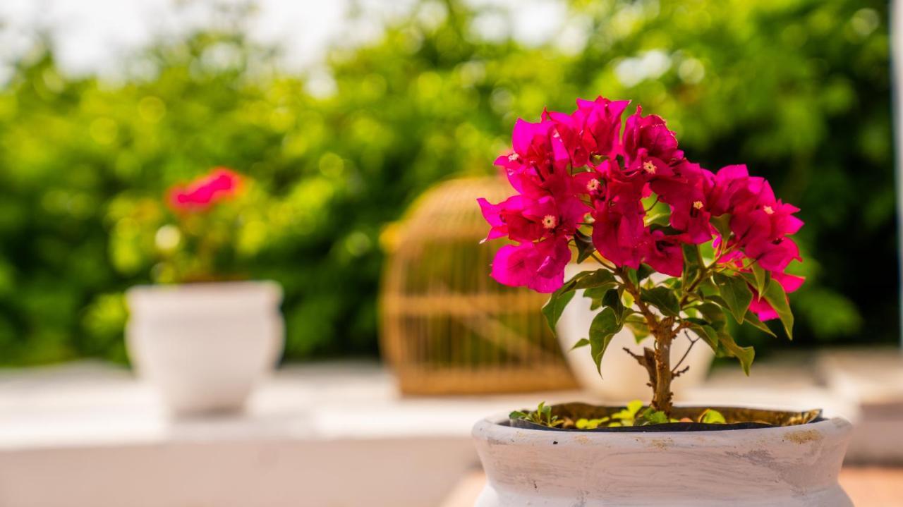Club Beyy Resort Hotel İzmir Exteriér fotografie